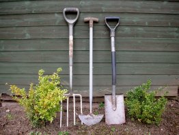 Gardening